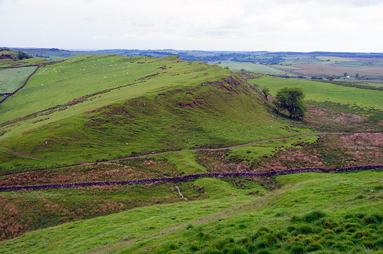 Sloping field on the west side of Walltown Crags