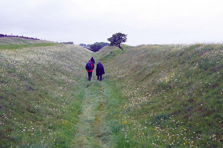 In the Vallum at towards Gilsland