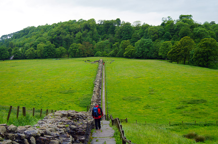 Following Hadrian's Wall at Willowford