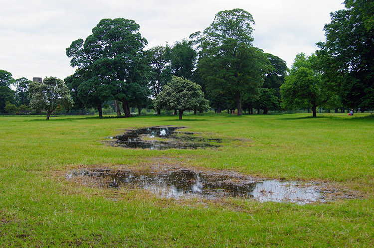 Evidence of the last few days rain in Rickerby Park