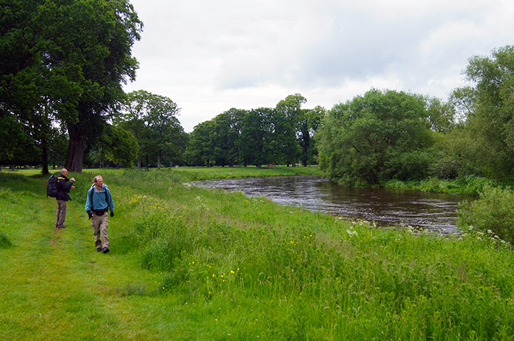 Beside the River Eden in Rickerby Park