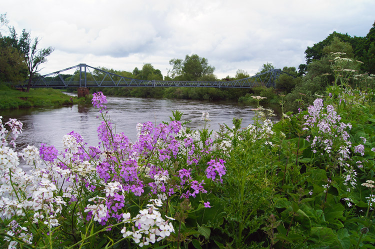 Footbridge to Carlisle