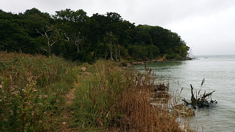 Coastline near Bouldnor