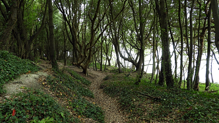 Fort Victoria Country Park