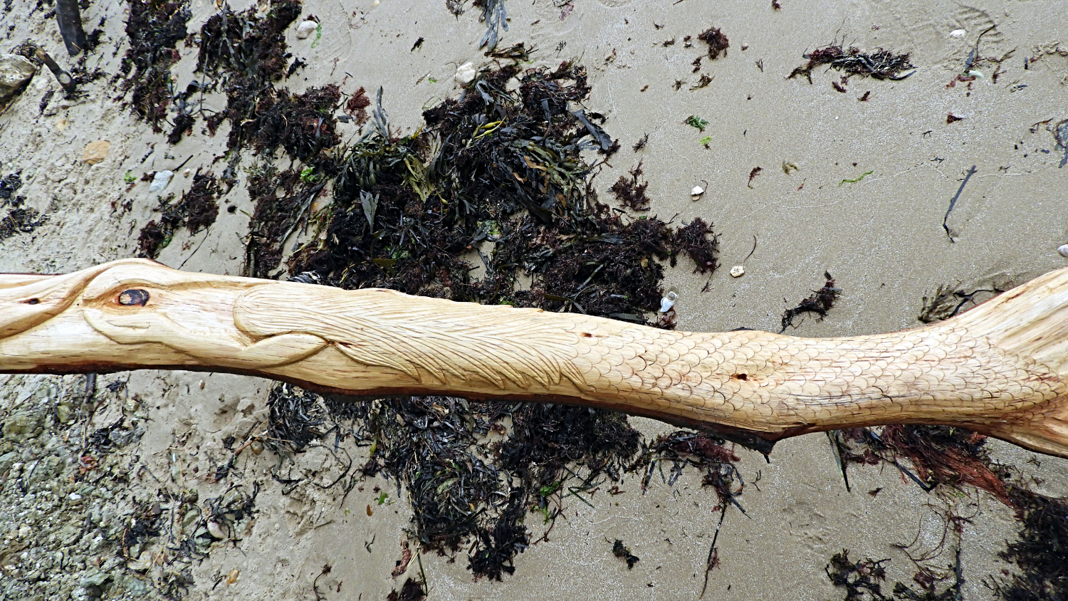 Natural wood carvings, Victoria Fort Country Park, September 2018