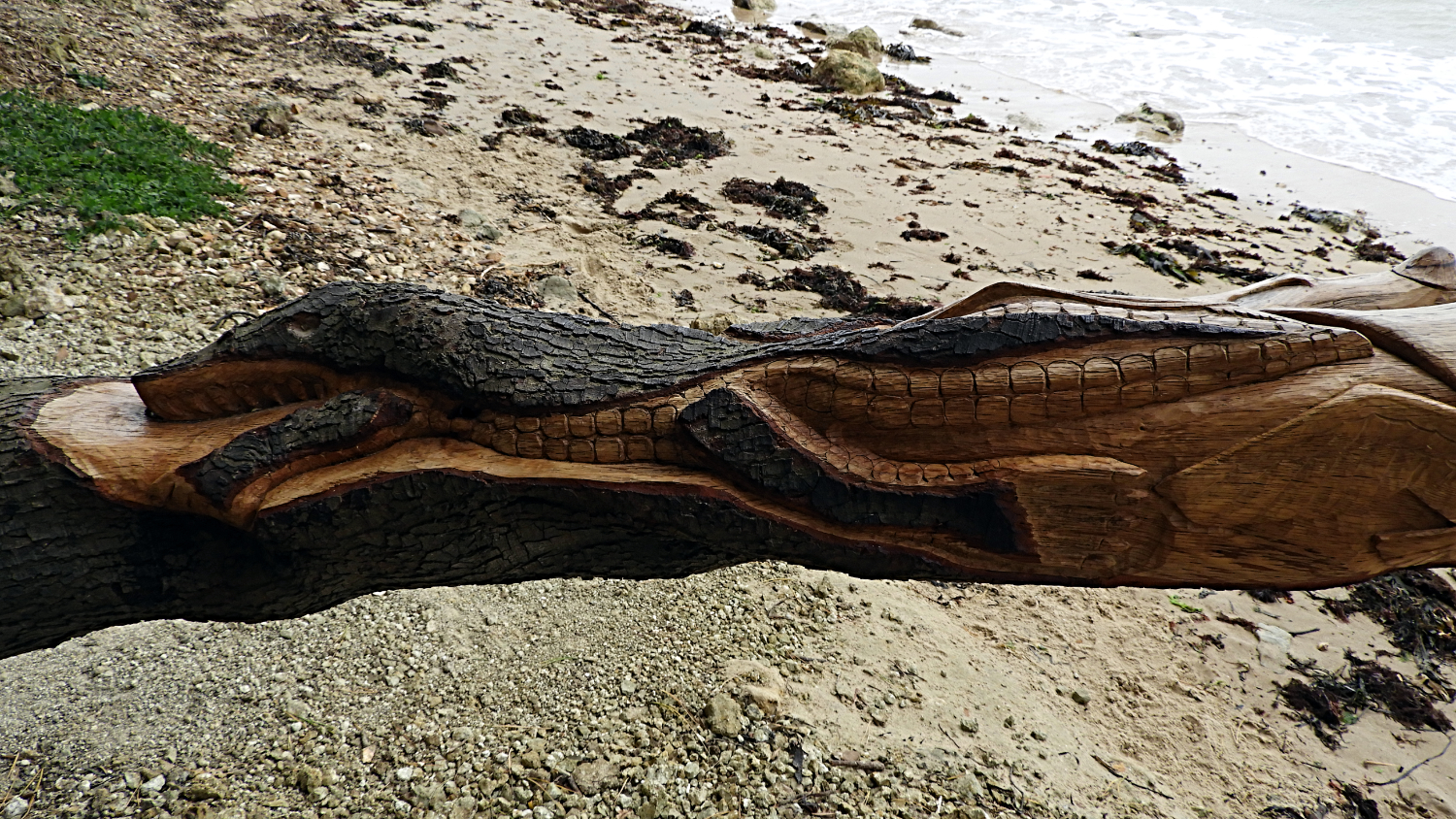 Natural wood carvings, Victoria Fort Country Park, September 2018