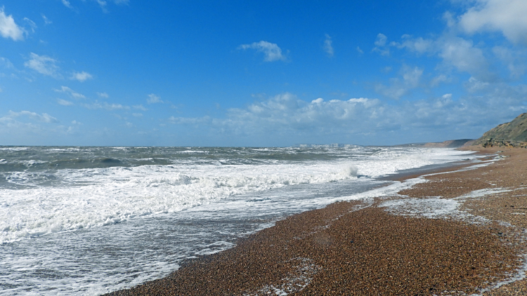 The coast at Shepherd's Chine