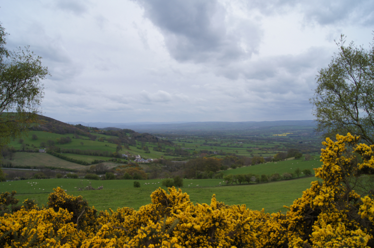 View north from Marian Ffrith