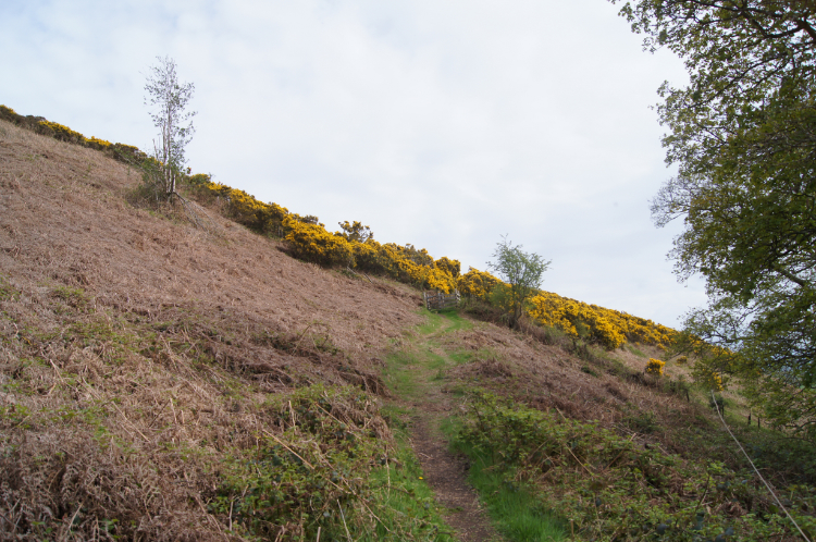 Climbing the northern extremity of the Clwydian Range