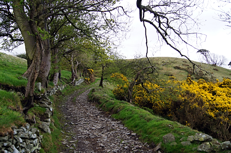 Climbing to the Clwydian Range