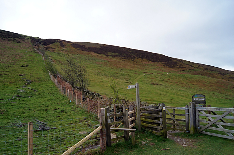 Climbing Moel Llys-y-coed