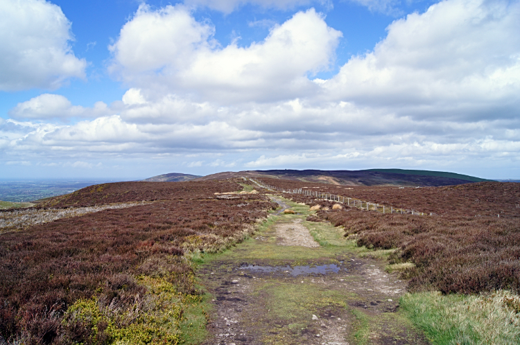 High path across the Clwydian Range