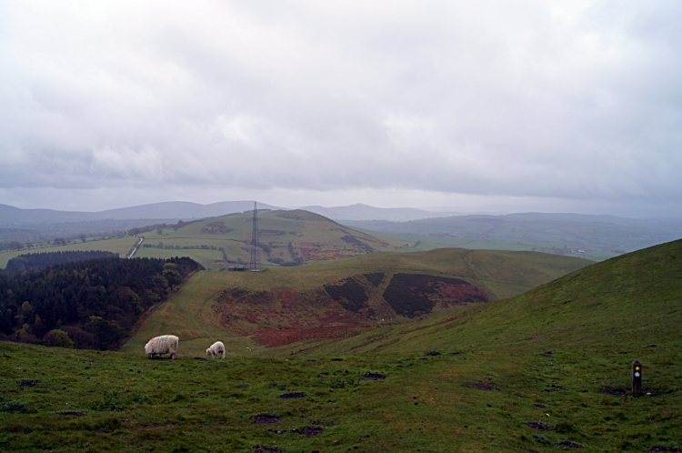 View from Moel y Plas to Moel y Gelli