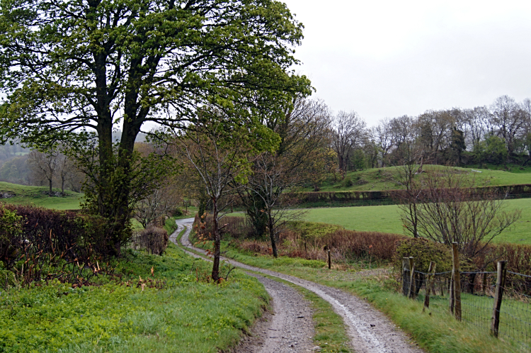 Lane to Llandegla