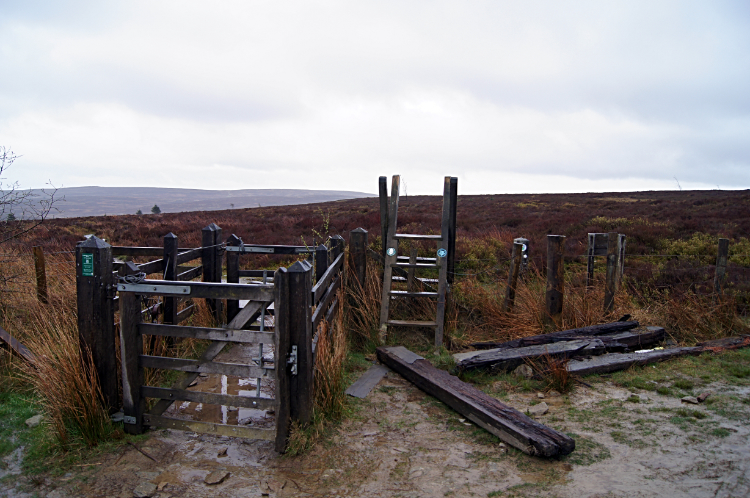 Moorland after Llandegla Forest