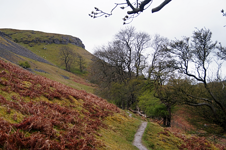 Following the path to Craig Arthur