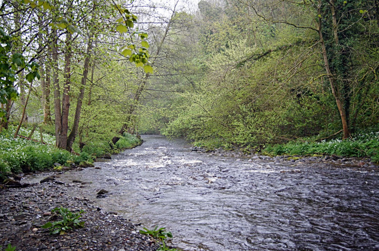 River Ceiriog