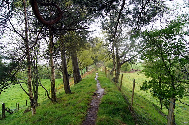 Offa's Dyke near Bronygarth