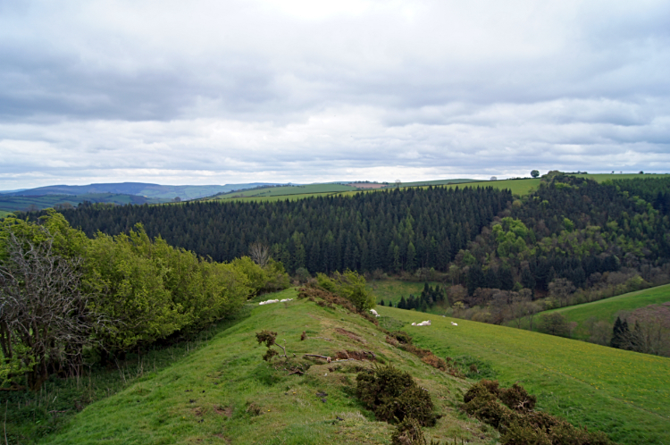 Descending to Churchtown