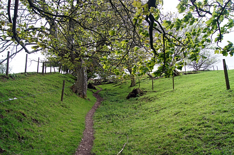 Climbing the shoulder of Graig Hill