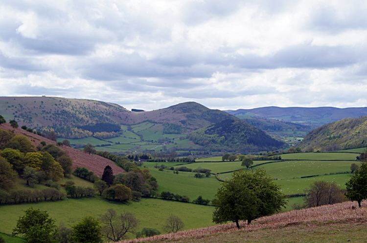 View from Bradnor Hill