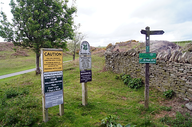 Plenty of advice on Bradnor Side