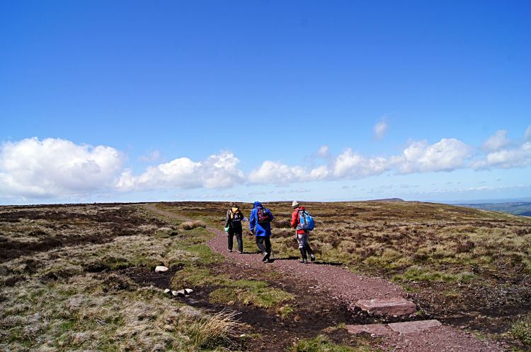 Day walkers