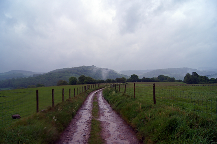 Relentless rain while walking along Duffield's Lane