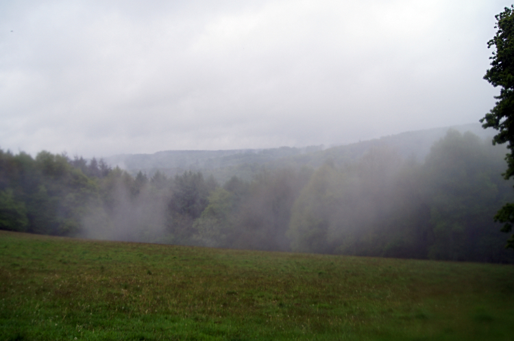 Water vapour rising