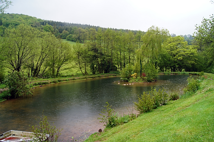 Pond at my accommodation