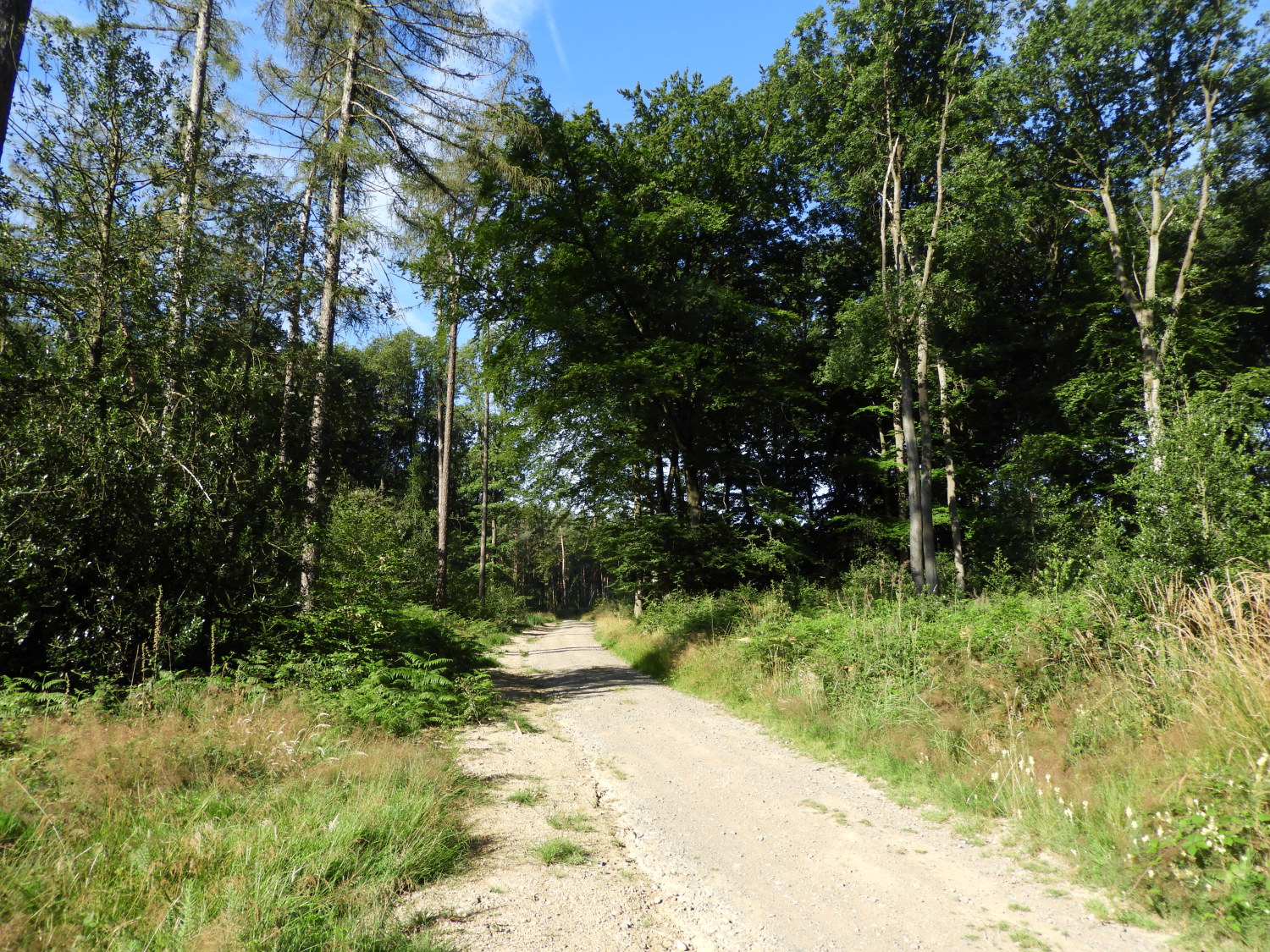 The Rheinburgenweg near Oberwinter