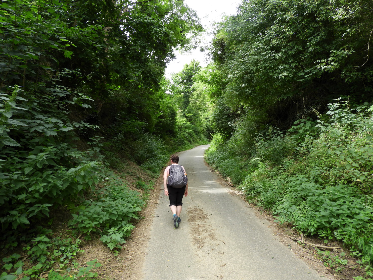 Climbing from Sinzig to forest