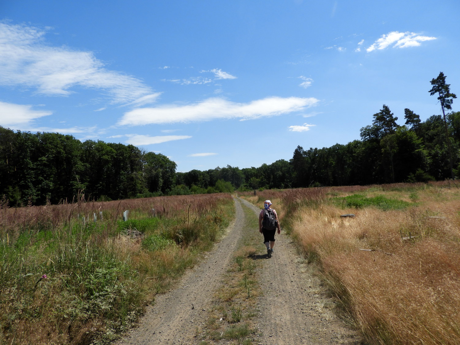 Crossing the Mönchsheide plateau