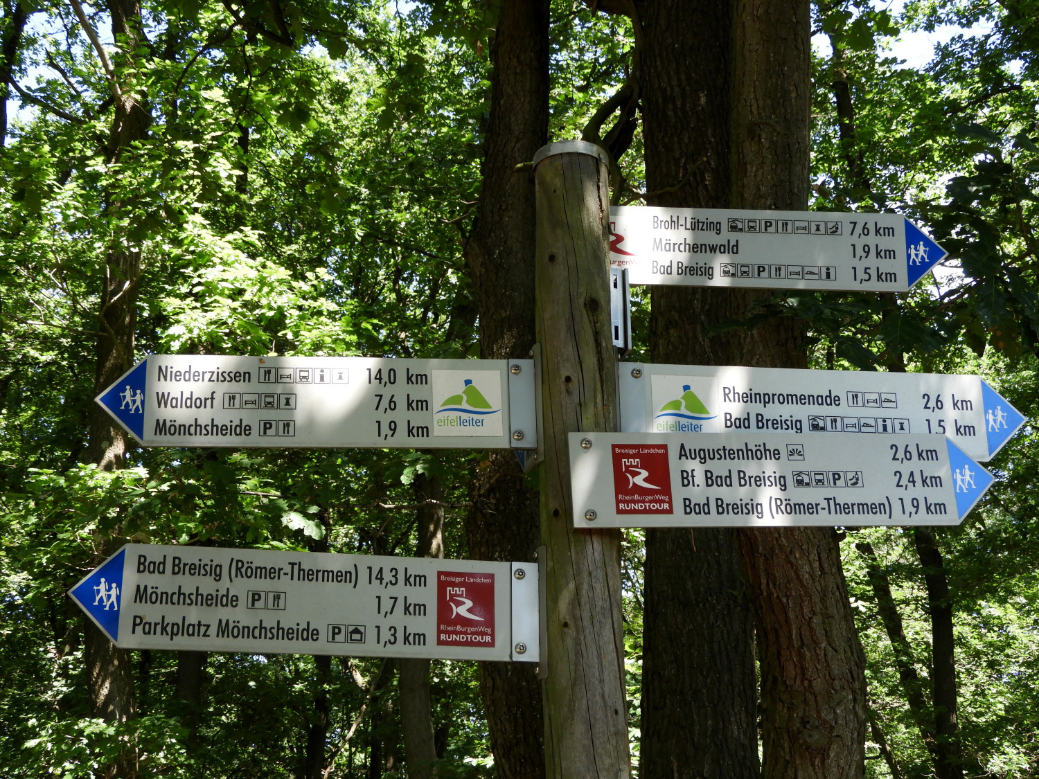 Busy hikers meeting of paths