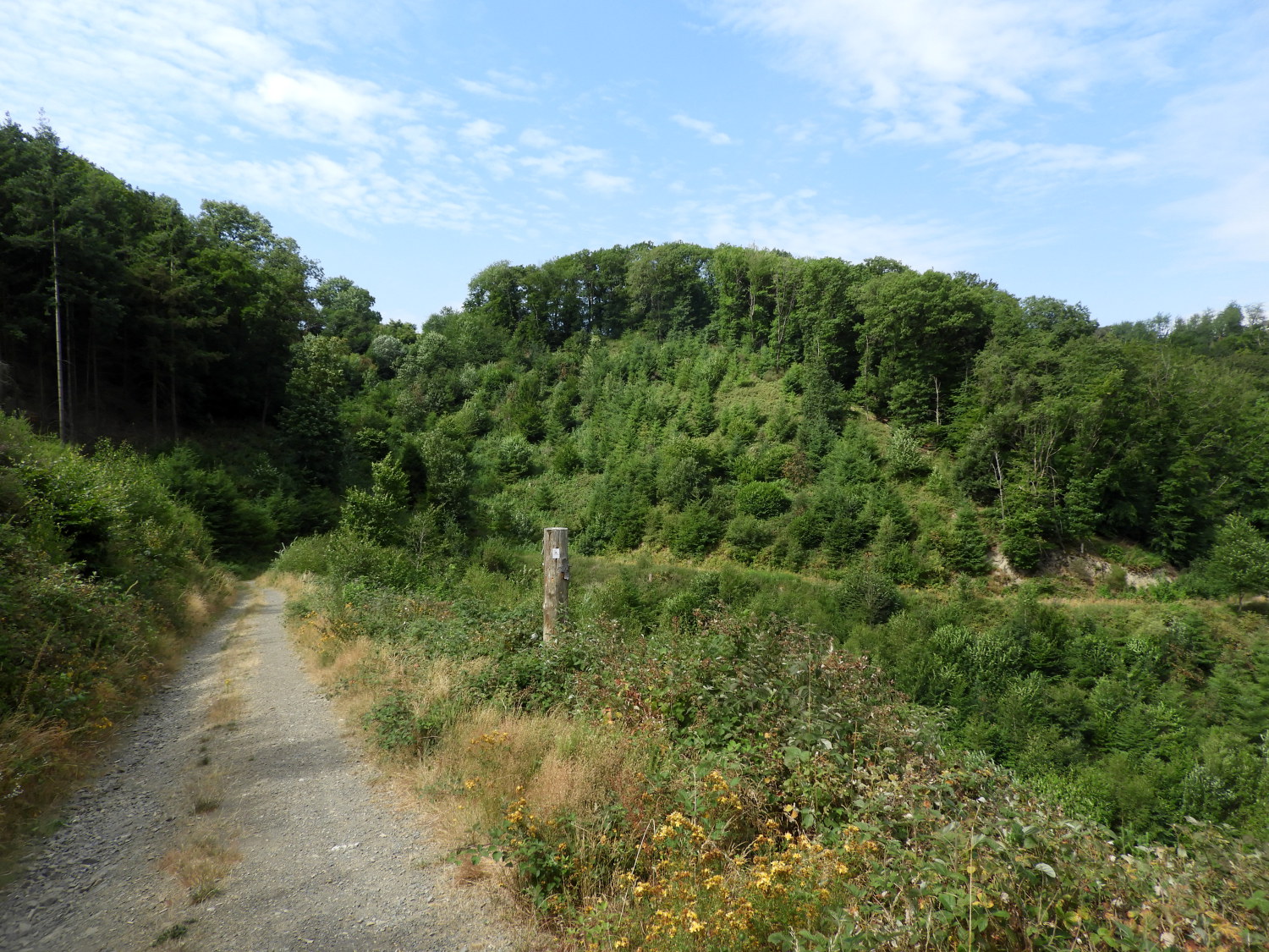 The trail from Huttenhof to Namedy