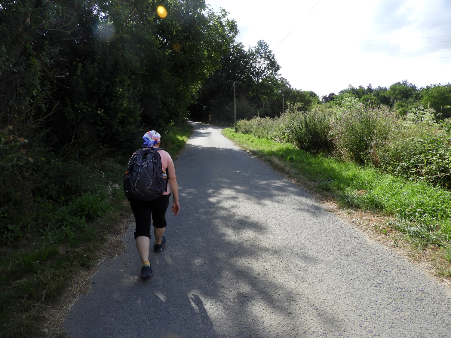 The climb from Miesenheim to Kettiger Berg