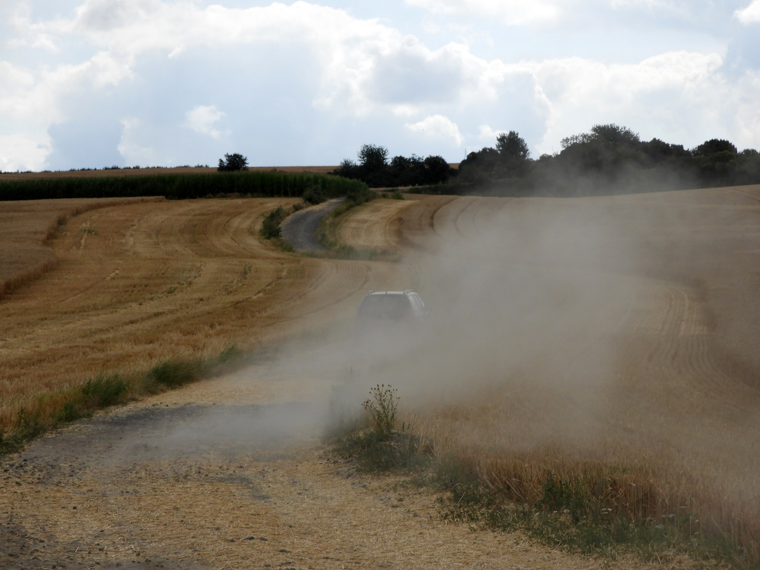 Dust Devil