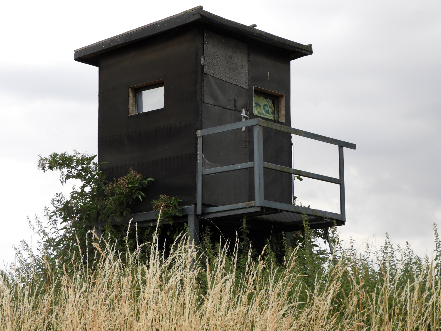 Observation Hide in the fields of Kettiger Berg