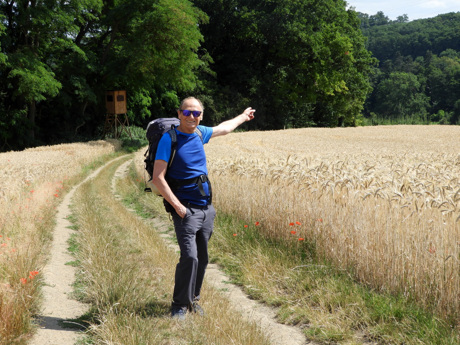 Pointing the way from Pfaffenbrucherhof