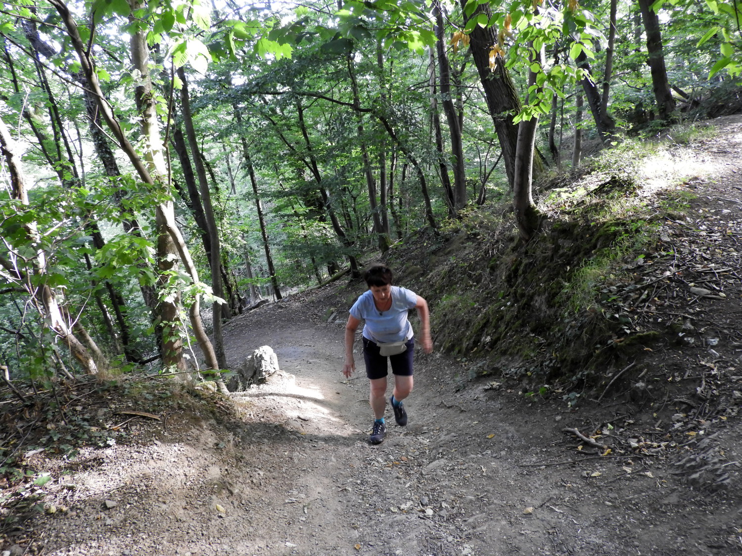 Steep climb to Rittersturz