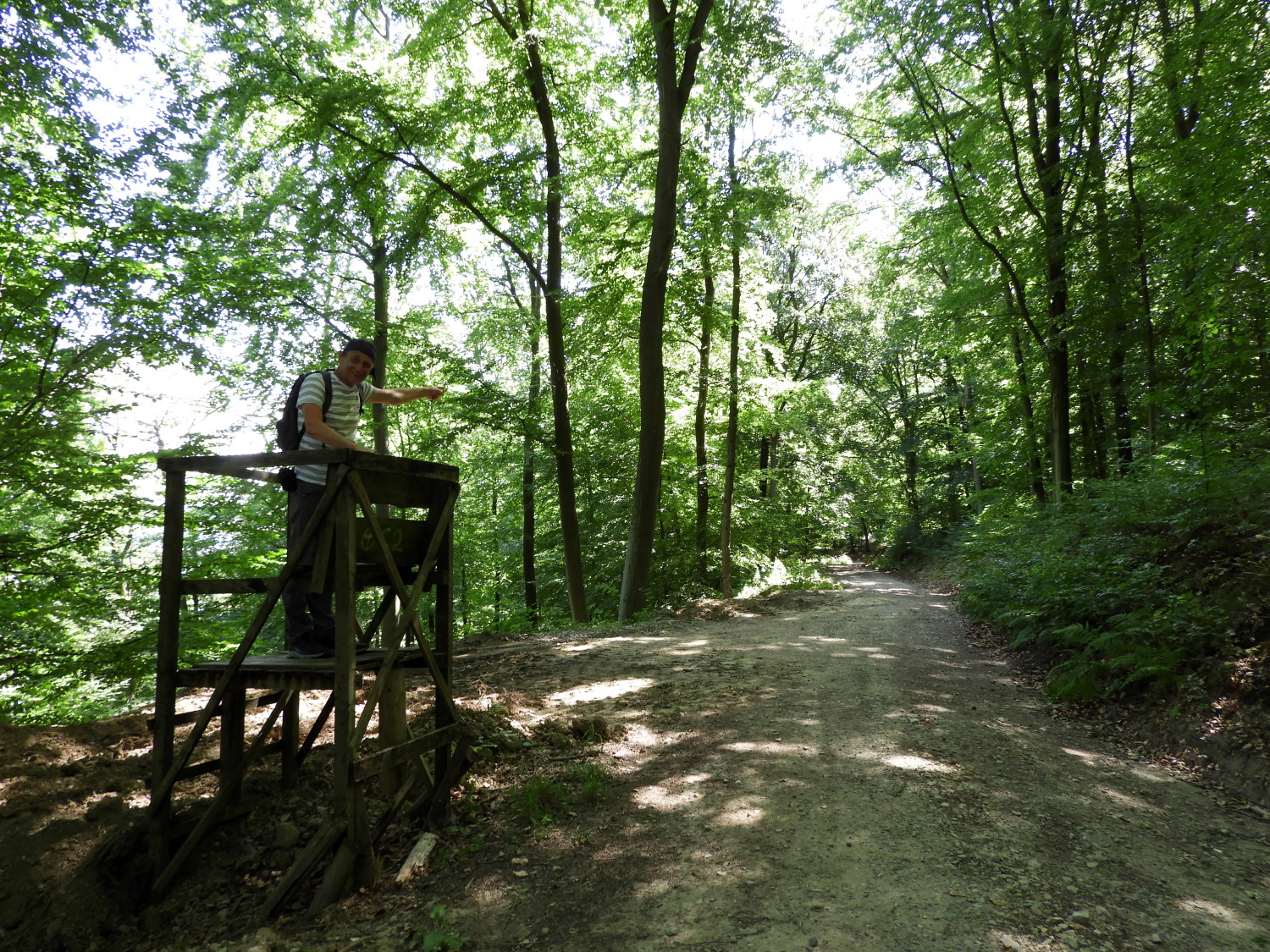 Just passing near Schullerhof