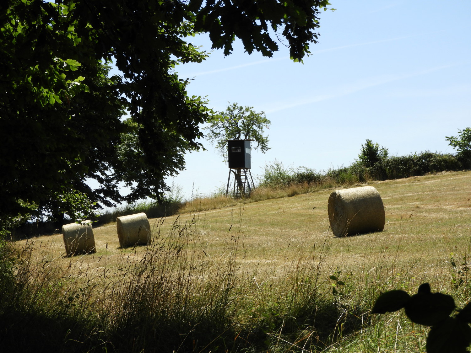 Arable fields near Philippsberg