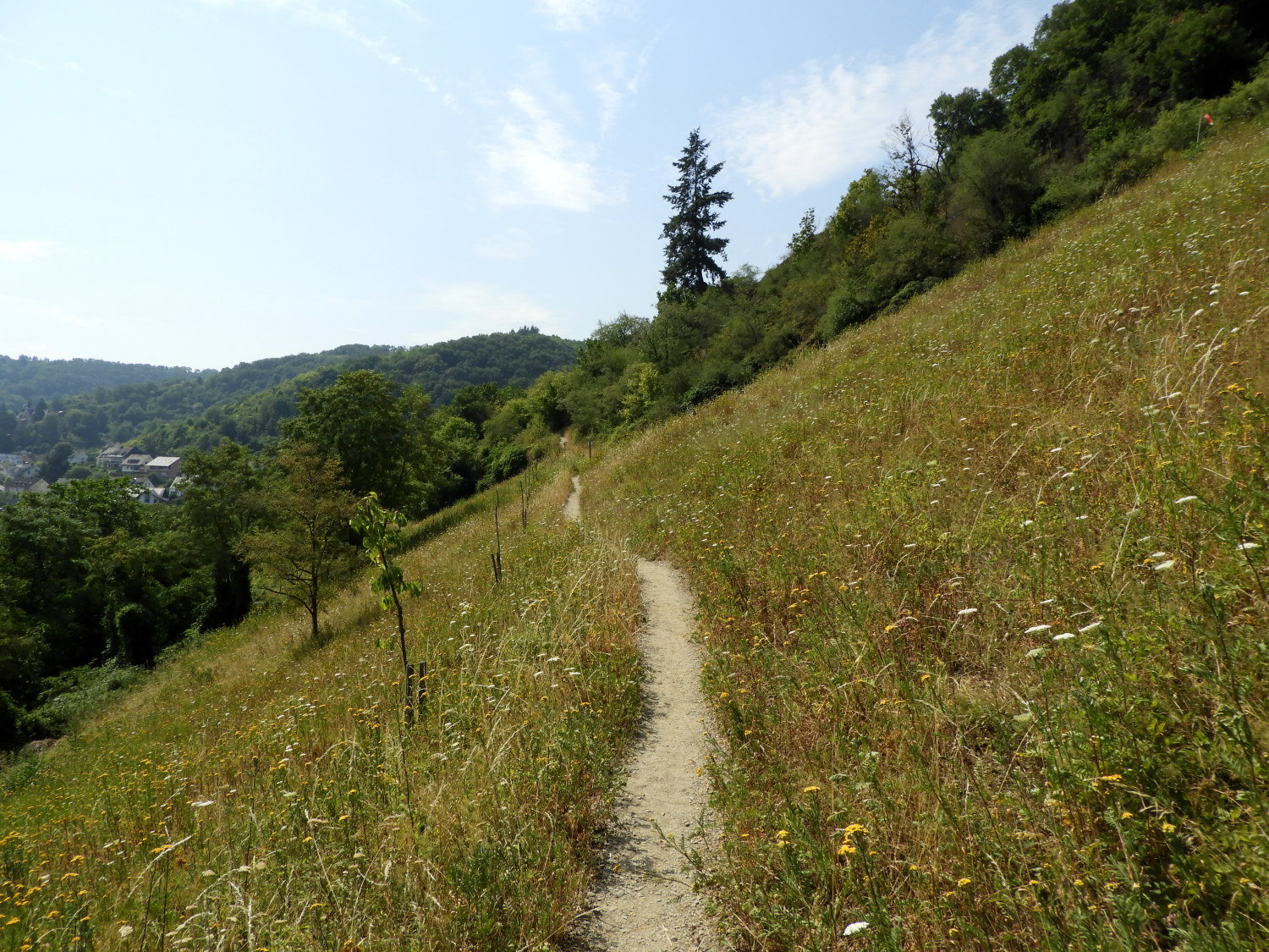 Easy walking at last when approaching Boppard