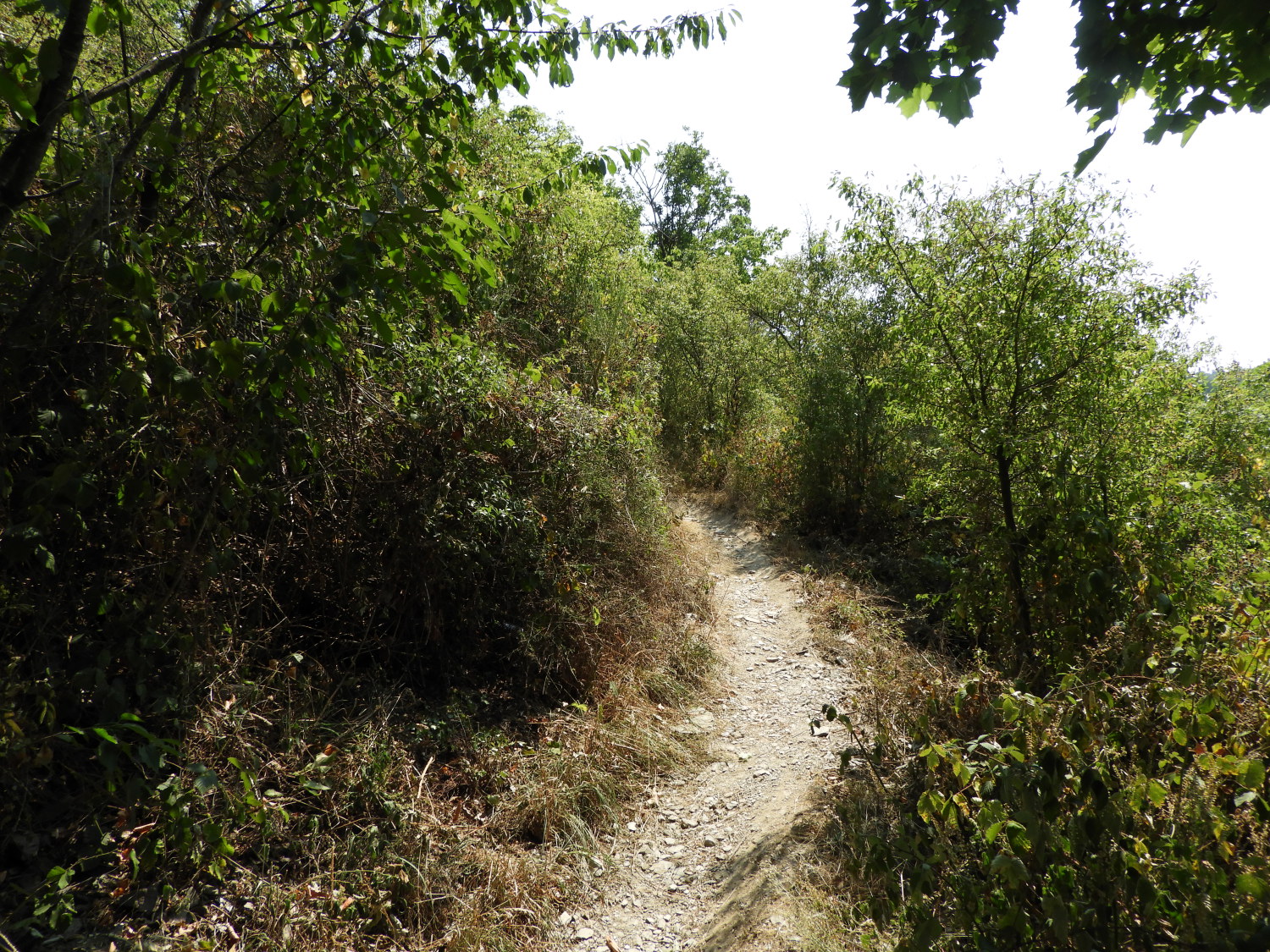 Steep climb to Eisenbolz