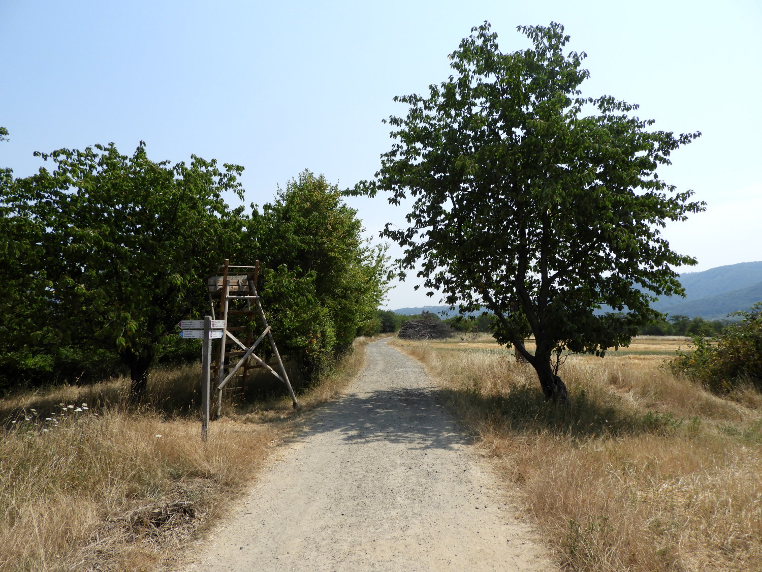 The track from Eisenbolz to Bad Salzig