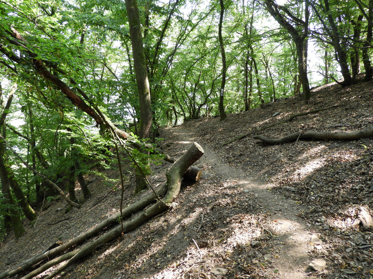 The path leading down to Bad Salzig