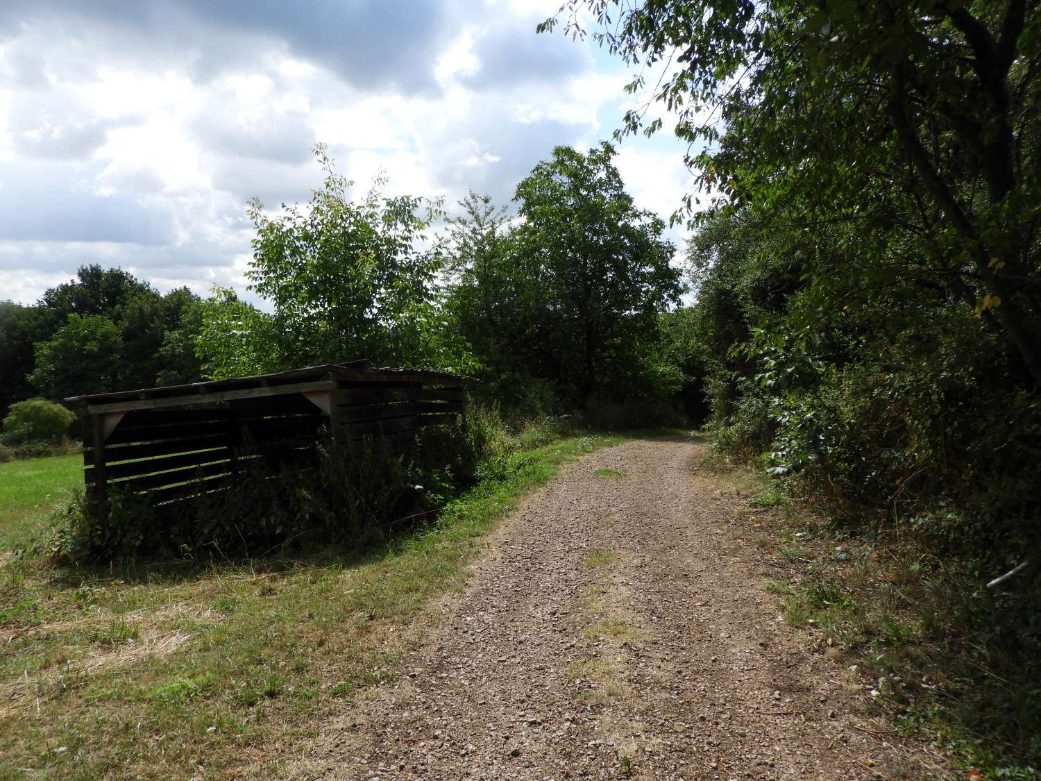 The Rheinburgenweg leading to Weilerbach