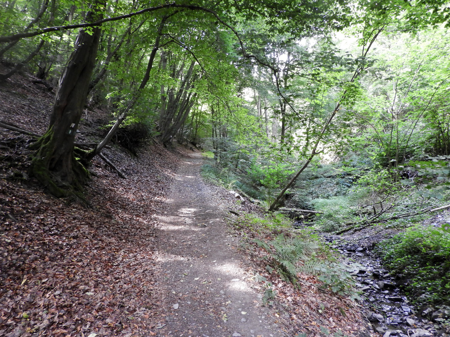 Walking parallel to Weiler Bach
