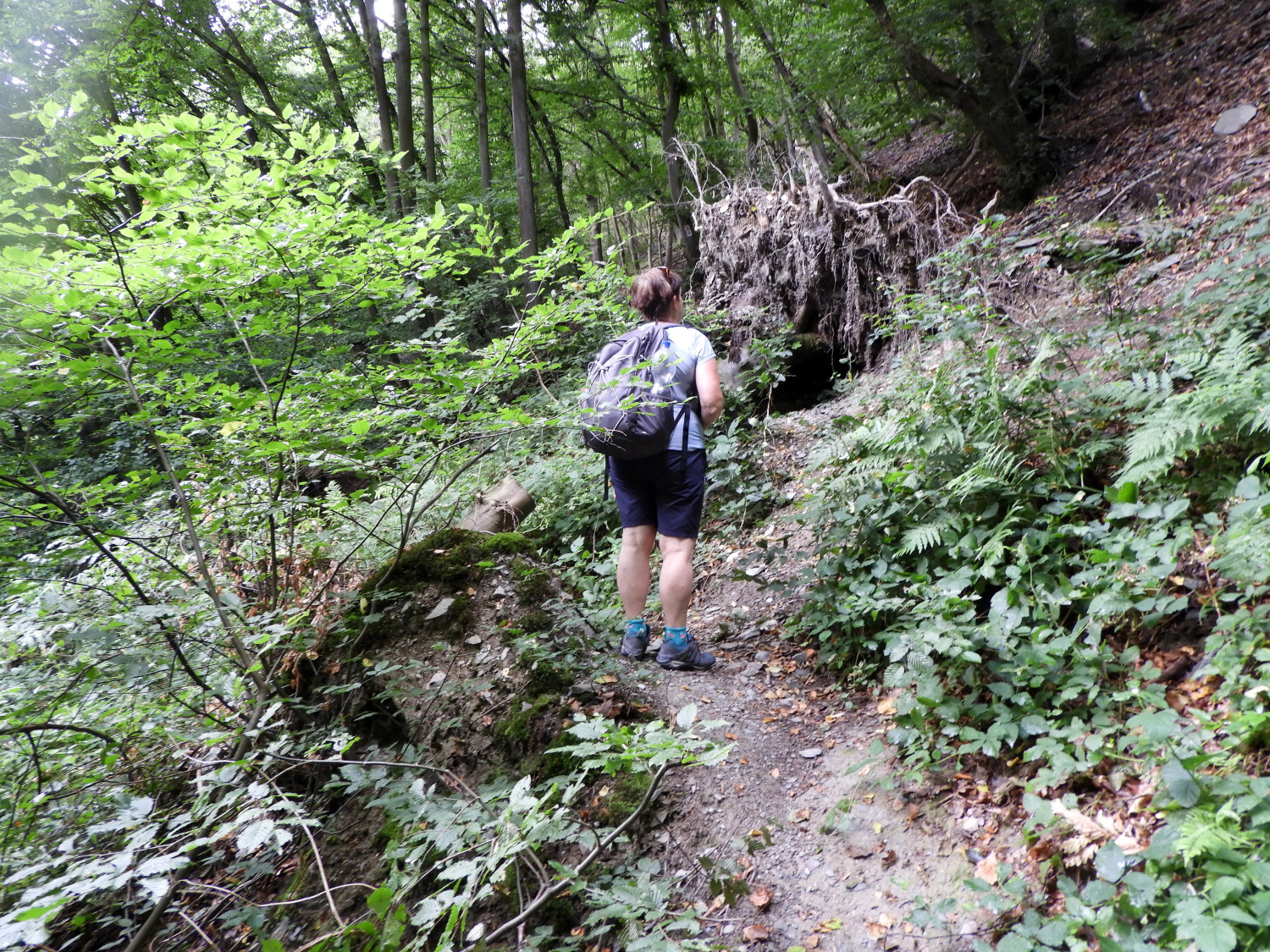 Blockage on the rising path to Hirzenach