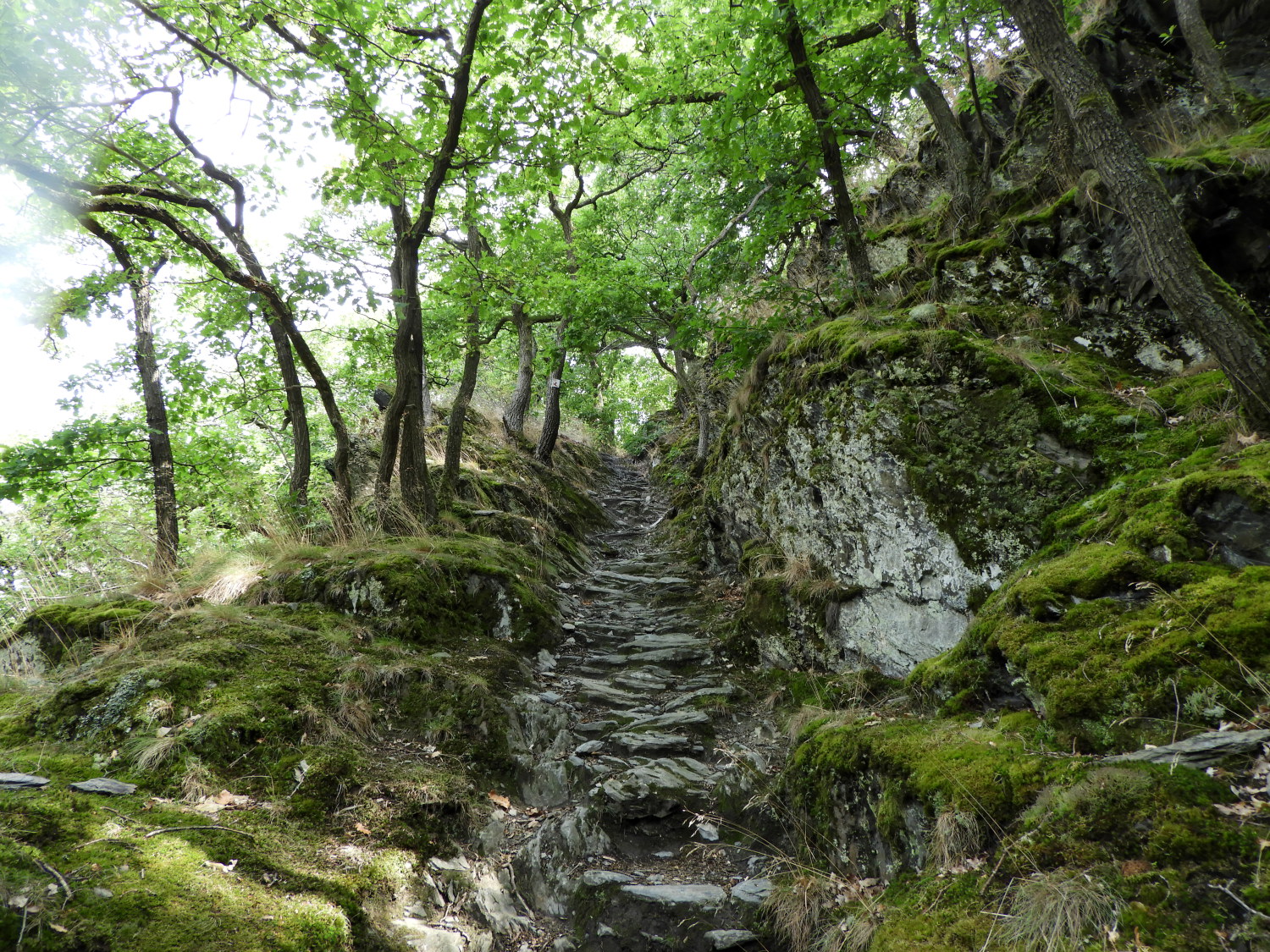 The amazing stepped path of natural stone